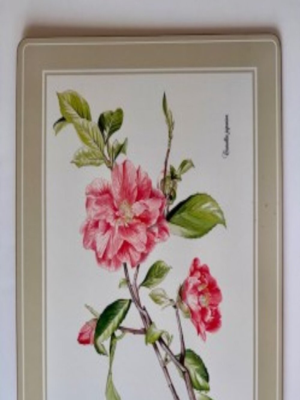 Lenox Pink Floral Serving Platter with Green Leaves